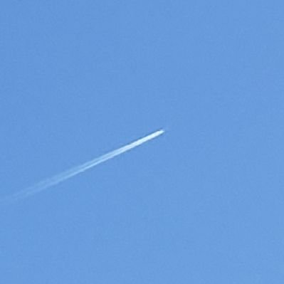 小野寺 響 / Hibiki Onodera